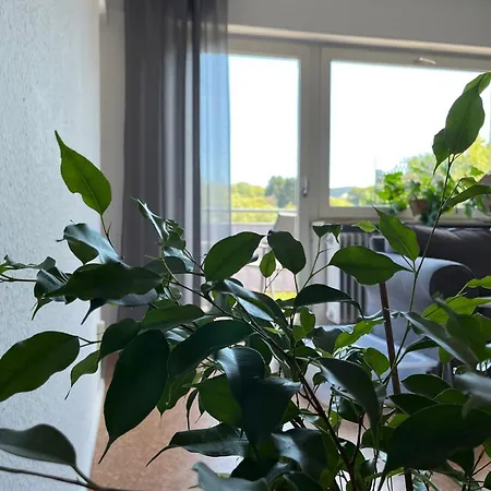 Ferienwohnung Wiesenblick Illingen  Esterno foto